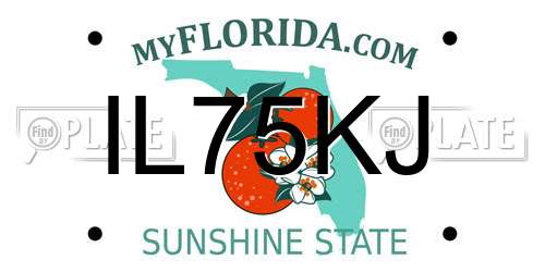 IL75KJ Florida License Plate
