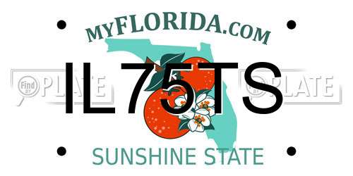 IL75TS Florida License Plate