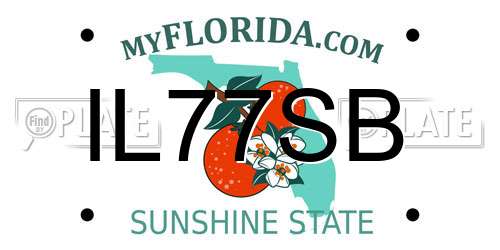 IL77SB Florida License Plate