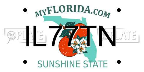 IL77TN Florida License Plate