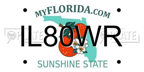 IL80WR Florida License Plate