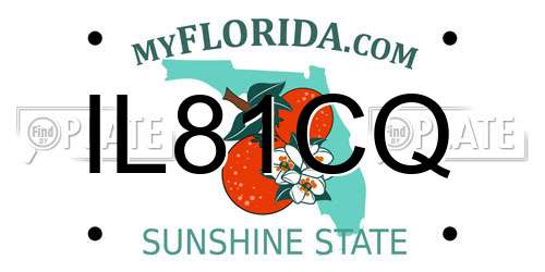 IL81CQ Florida License Plate