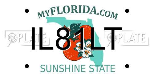 IL81LT Florida License Plate