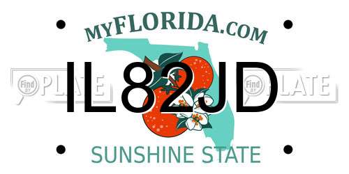 IL82JD Florida License Plate