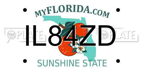 IL84ZD Florida License Plate