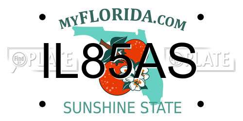 IL85AS Florida License Plate