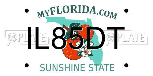 IL85DT Florida License Plate
