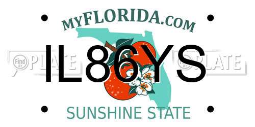 IL86YS Florida License Plate