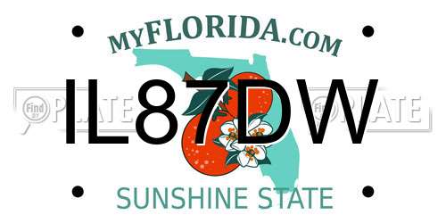 IL87DW Florida License Plate