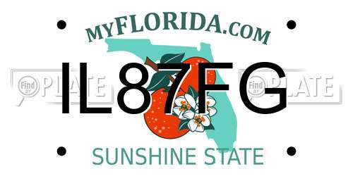 IL87FG Florida License Plate
