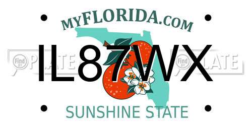 IL87WX Florida License Plate