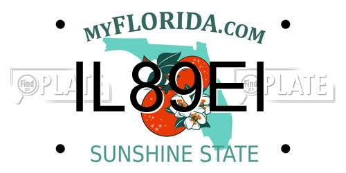 IL89EI Florida License Plate