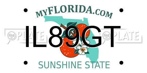 IL89GT Florida License Plate