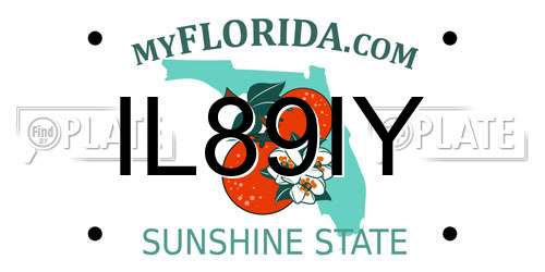 IL89IY Florida License Plate