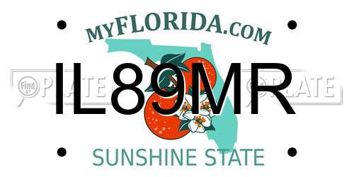 IL89MR Florida License Plate