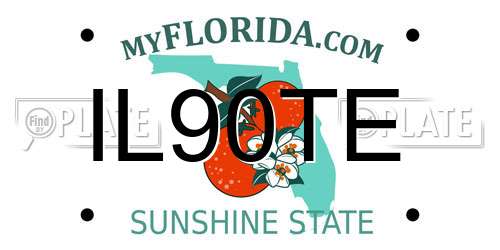 IL90TE Florida License Plate
