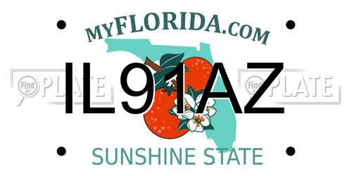IL91AZ Florida License Plate