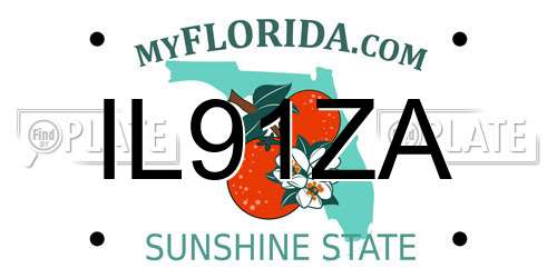 IL91ZA Florida License Plate