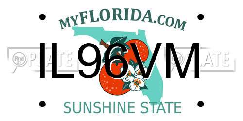 IL96VM Florida License Plate