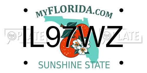 IL97WZ Florida License Plate