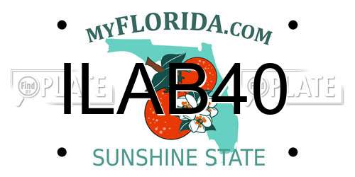 ILAB40 Florida License Plate