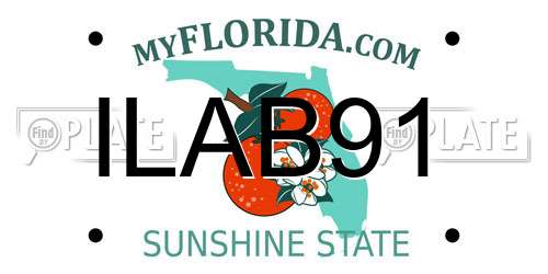 ILAB91 Florida License Plate