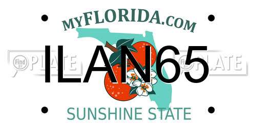 ILAN65 Florida License Plate