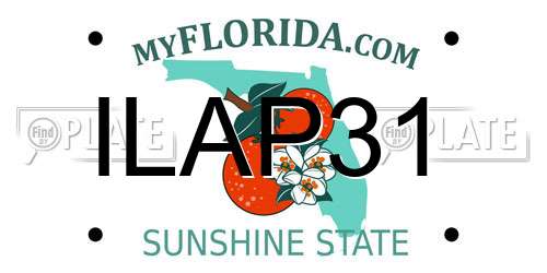 ILAP31 Florida License Plate