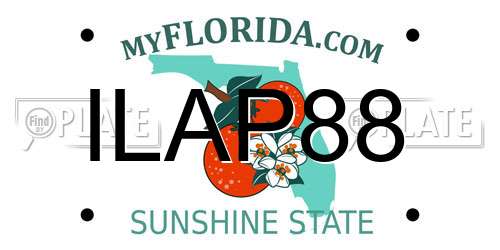 ILAP88 Florida License Plate