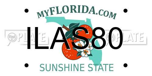 ILAS80 Florida License Plate