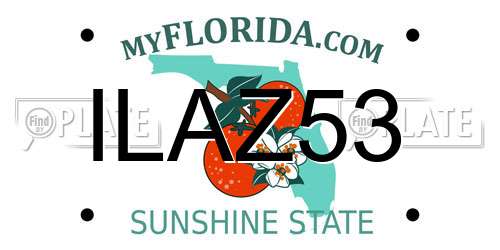 ILAZ53 Florida License Plate