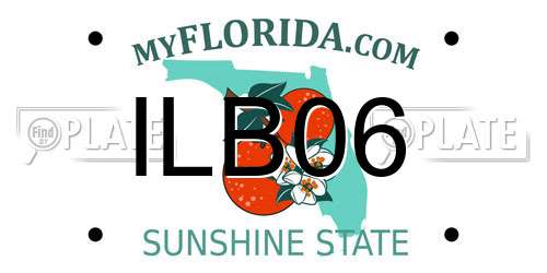 ILB06 Florida License Plate