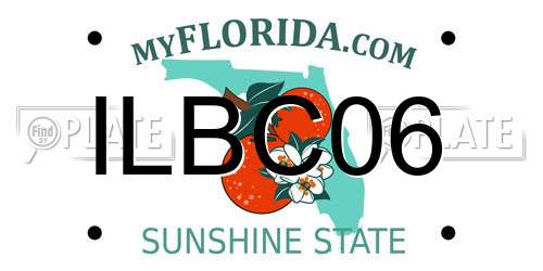 ILBC06 Florida License Plate