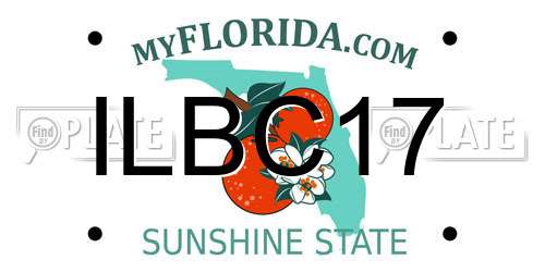 ILBC17 Florida License Plate
