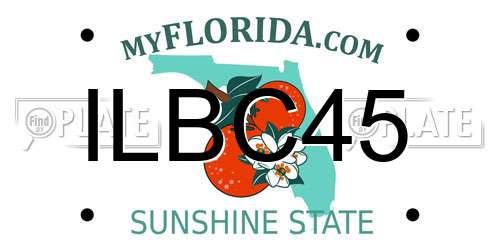 ILBC45 Florida License Plate