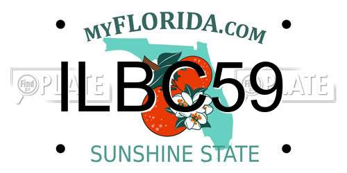 ILBC59 Florida License Plate