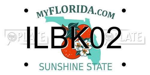 ILBK02 Florida License Plate