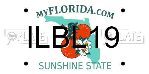 ILBL19 Florida License Plate