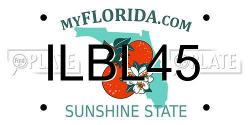 ILBL45 Florida License Plate