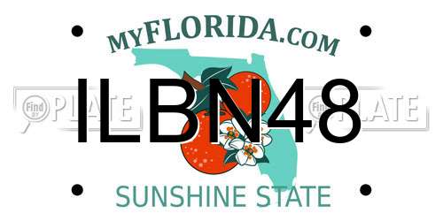 ILBN48 Florida License Plate
