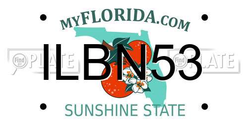 ILBN53 Florida License Plate
