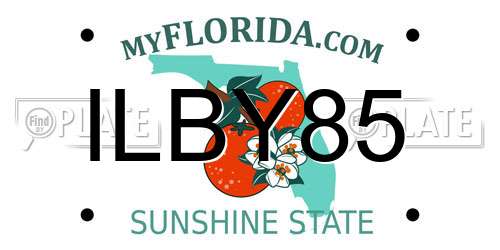 ILBY85 Florida License Plate