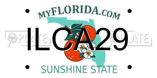 ILCA29 Florida License Plate