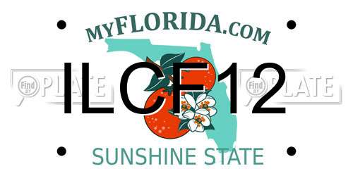 ILCF12 Florida License Plate