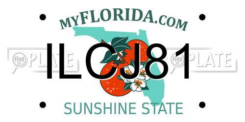 ILCJ81 Florida License Plate
