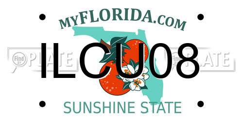 ILCU08 Florida License Plate
