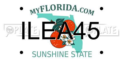 ILEA45 Florida License Plate