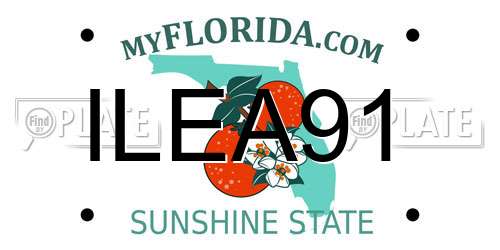 ILEA91 Florida License Plate
