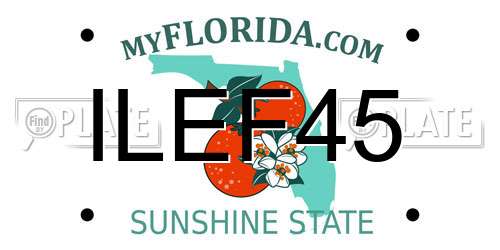 ILEF45 Florida License Plate
