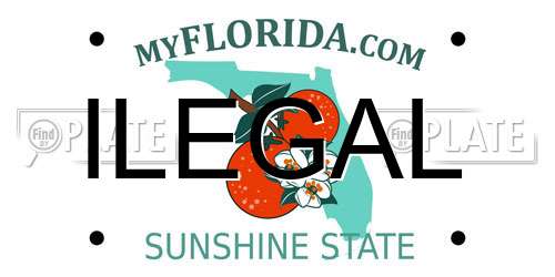 ILEGAL Florida License Plate